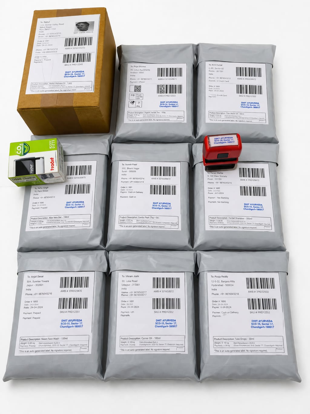 Shilajit Resin